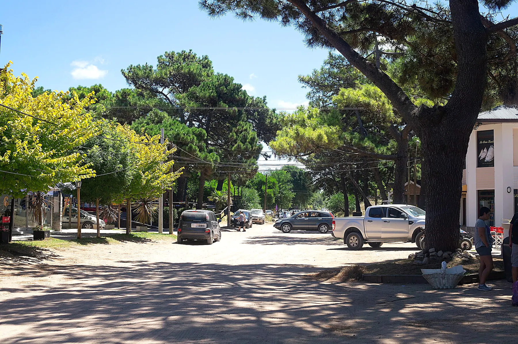 Calle arbolada de Mar Azul